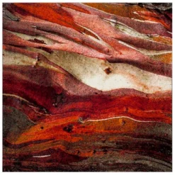 Calabasas Abstract Loomed Area Rug - Safavieh 23 Calabasas Abstract Loomed Area Rug - Safavieh -Safavieh Home Deals Store GUEST 51b69280 2dda 4fb6 b4f0 fe4b4c5cde9c